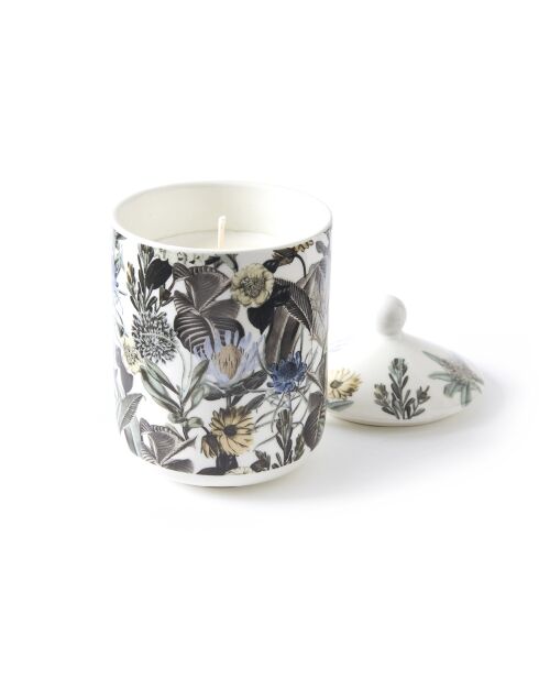Candela profumata Garden Light Blue in barattolo di porcellana, Jasmine & Ylang, 315 g