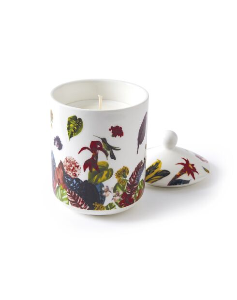 Bougie parfumée en pot de porcelaine Jardin Tropical  Figuier - 315 g