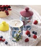 Bougie parfumée en pot de porcelaine Zanzibar Jaune - Fruits rouges - 315 g