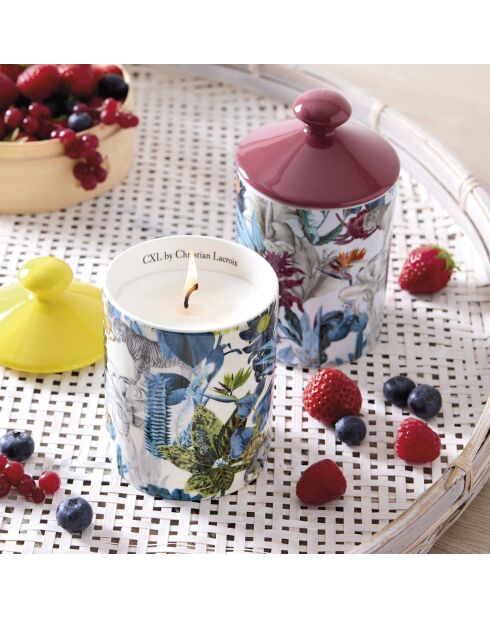 Bougie parfumée en pot de porcelaine Zanzibar Jaune - Fruits rouges - 315 g