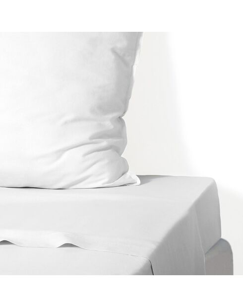 Drap plat percale de coton Nina blanc