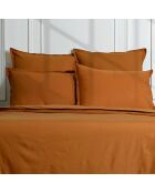 Juego de cama Nina Caramel de algodón percal