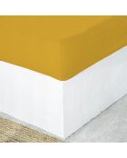 Drap housse lin lavé Hortense jaune moutarde