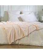 Lot de 2 Taies d'oreiller gaze de coton Carla roses