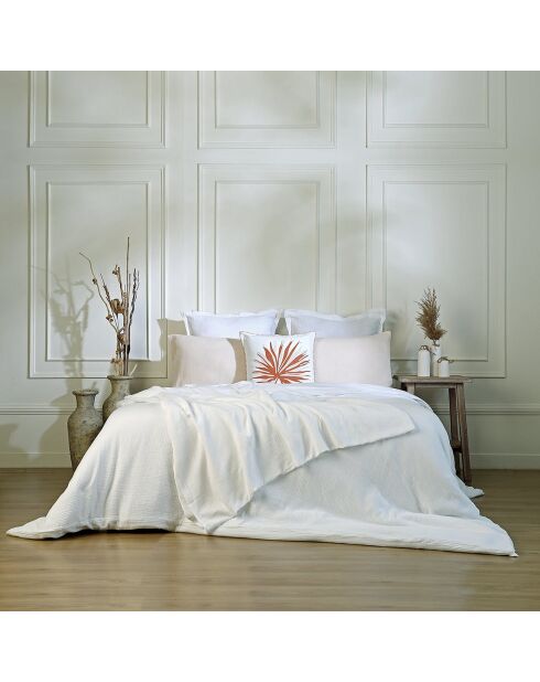 Lot de 2 Taies d'oreiller gaze de coton Carla roses