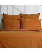Lot de 2 Taies d'oreiller percale de coton Nina caramel