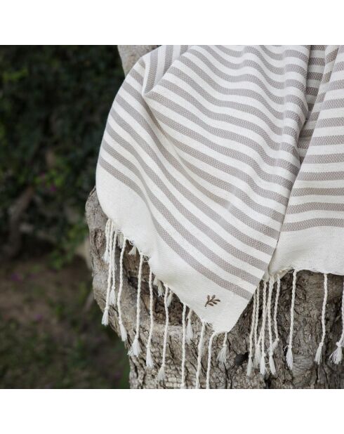 Fouta in cotone Hossegor taupe XXL - 200x200 cm