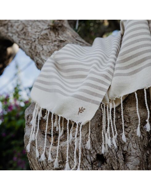 Fouta in cotone Hossegor taupe XXL - 200x200 cm