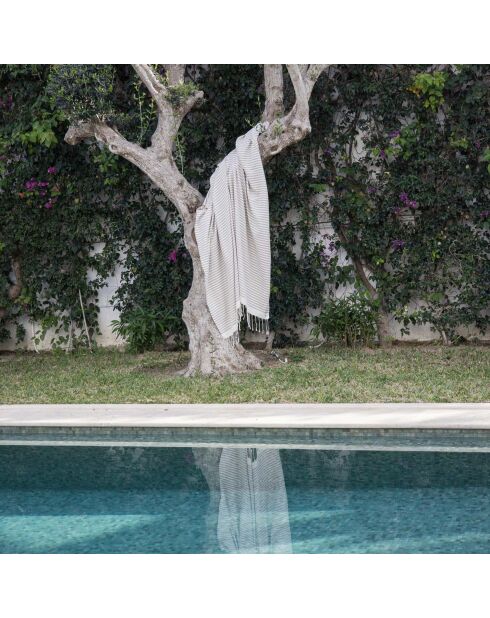 Fouta in cotone Hossegor taupe XXL - 200x200 cm