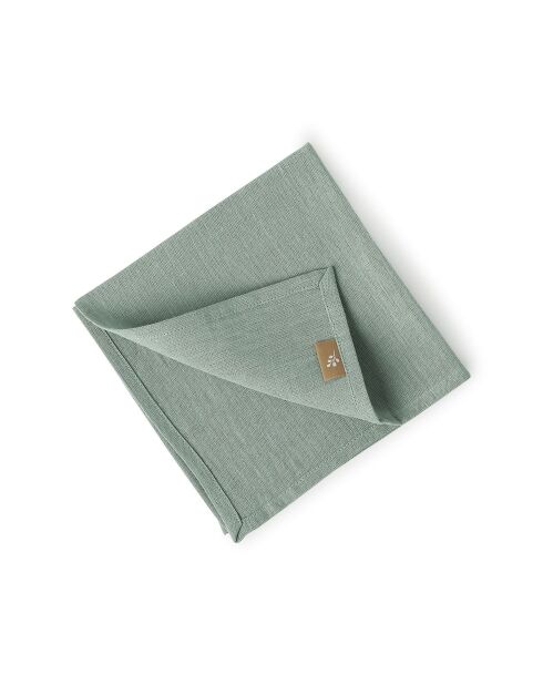 Lot de 4 serviettes de table lin lavé Paul vert céladon - 45x45 cm