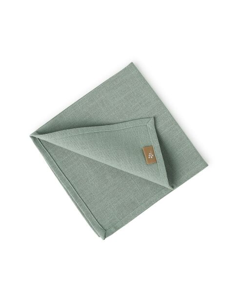 Lot de 4 serviettes de table toile de coton Louis vert céladon - 45x45 cm
