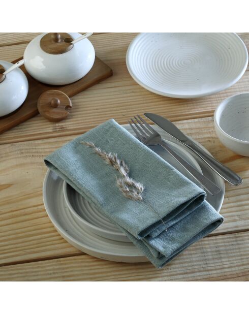 Lot de 4 serviettes de table toile de coton Louis vert céladon - 45x45 cm