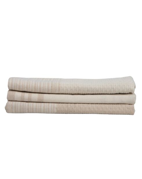 Set von 3 Mahdia Geschirrtüchern aus Baumwolle helltaupe - 45x70 cm