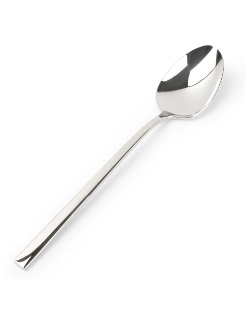 Set van 6 zilveren Terno roestvrijstalen dessertlepels - 22,5x5,6x5,5 cm