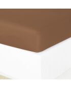 Drap housse satin de en coton Julia caramel