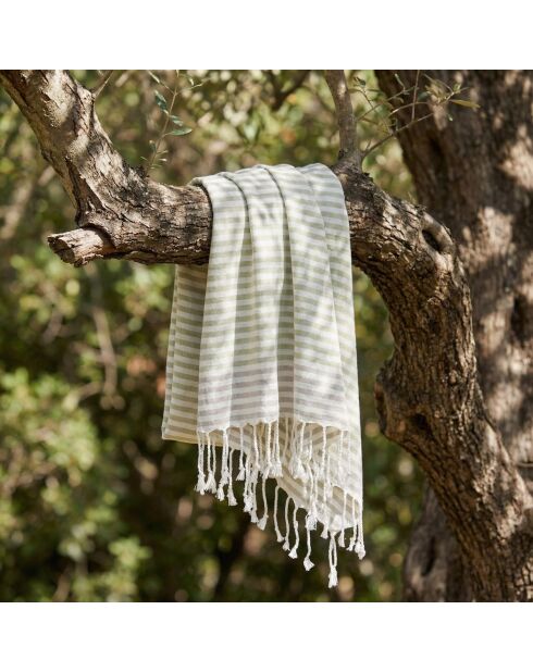 Pareo fouta in cotone Bora Bora verde mandorla/tortora chiaro - 100x200 cm
