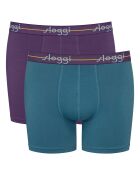 Set van 2 violet/blauwe Start boxershorts