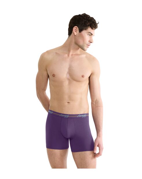 Set van 2 violet/blauwe Start boxershorts