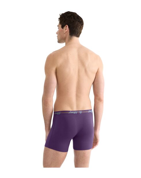 Set van 2 violet/blauwe Start boxershorts