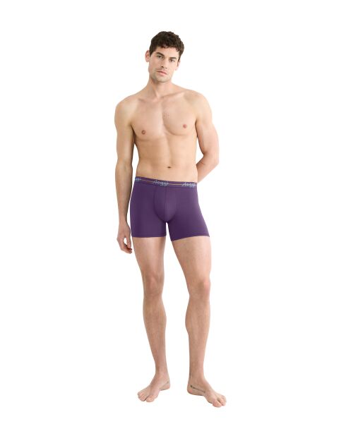 Set van 2 violet/blauwe Start boxershorts