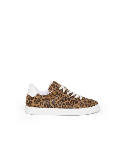 Low-Top-Sneaker Gaby 6 mit Leopardenmuster