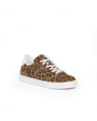 Low-Top-Sneaker Gaby 6 mit Leopardenmuster