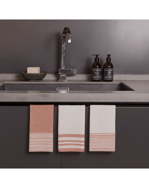 Set di 3 strofinacci Mahdia in cotone rosa argilla - 45x70 cm