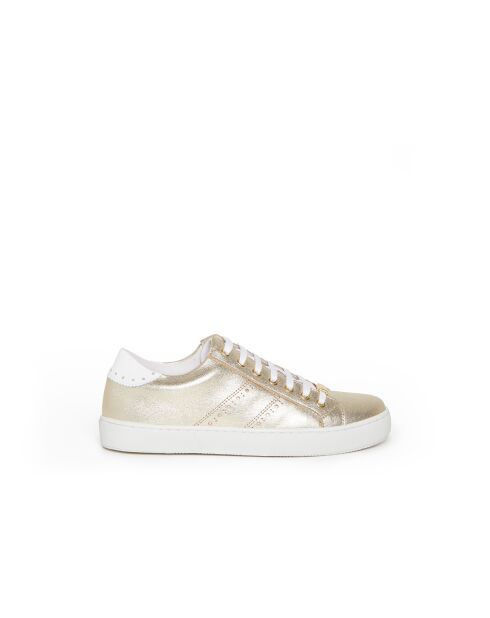 Sneakers basses Berkeley 6 en cuir dorées