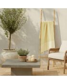 Fouta aus Baumwolle aus Ibiza-Baumwolle hellgelb - 100x200 cm