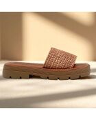 Mules Brigitta camel