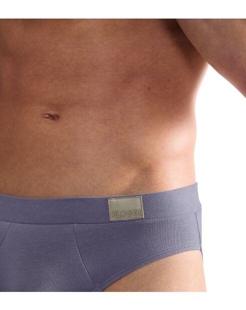 Lot de 2 slips Go Natural gris/marine