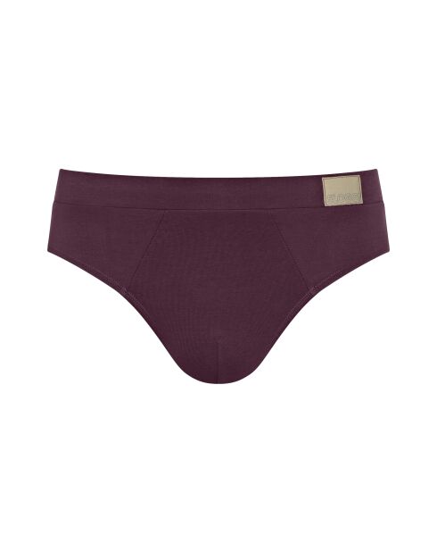 Lot de 2 slips Go Natural gris/bordeaux