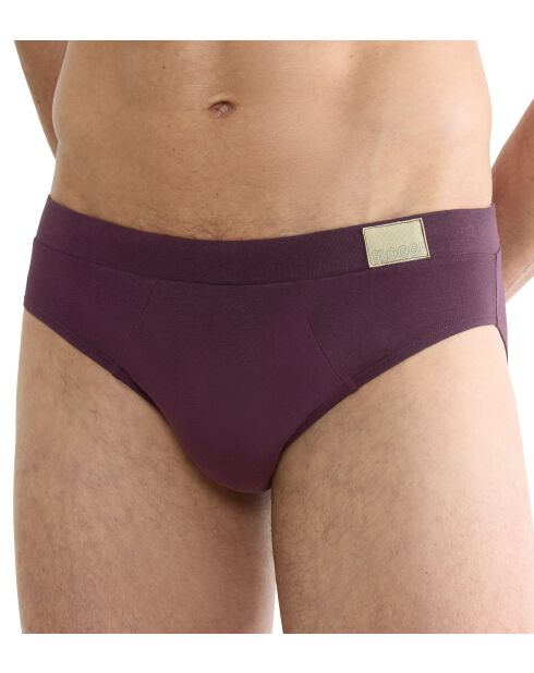 Lot de 2 slips Go Natural gris/bordeaux
