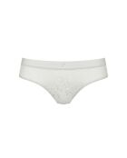 Shorty S di Superb Cheeky Moonstone Grey