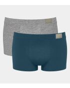 Set van 2 Go Natural hipsterslipjes eend blauw/grijs