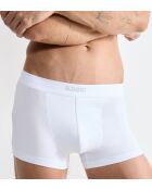Lot de 2 culottes hipster Ever Ease blanches