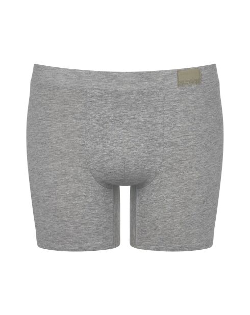 Lor de 2 shorties Go Natural gris