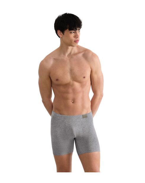 Lor de 2 shorties Go Natural gris