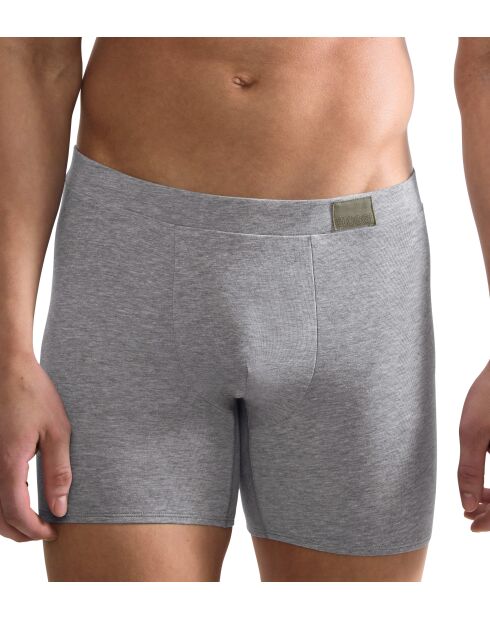 Lor de 2 shorties Go Natural gris