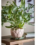 Pot de fleurs avec soucoupe Jaylee rose - D.18,5 x H.13,5 cm