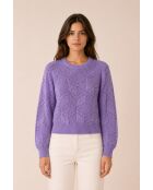 Violetter Paravel-Pullover