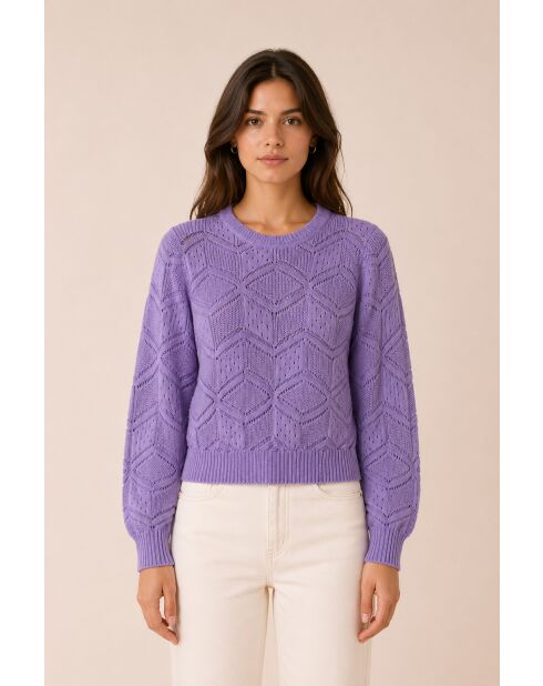 Violetter Paravel-Pullover