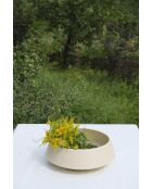 Cuenco Tuga cuadrado de cerámica beige - 12x36 cm
