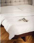 Lenzuolo con angoli in cotone Oba bianco classico