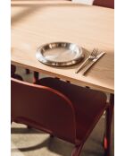 Set mit 2 Roto-Edelstahlplatten - D.28 cm
