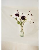 Vase Glom transparent - 24x8.3x9 cm