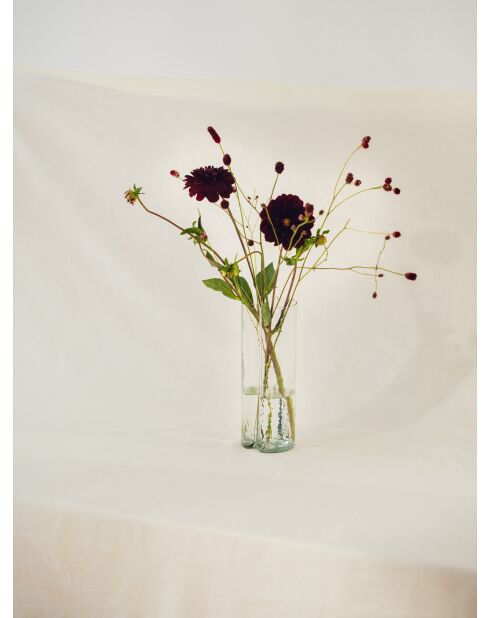 Vase Glom transparent - 24x8.3x9 cm