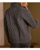 Cardigan Raphaël anthracite