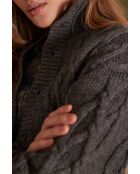 Cardigan Raphaël anthracite