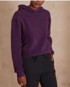 Sweat Tennessee violet